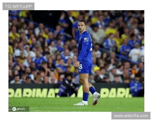 格拉利什：感谢埃弗顿支持 我恢复状况良好